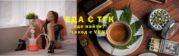 тгк Новодвинск