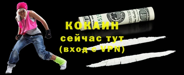 винт Няндома