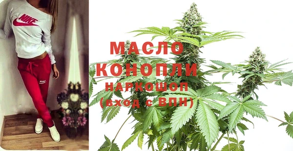 тгк Новодвинск