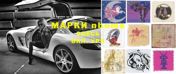 тгк Новодвинск