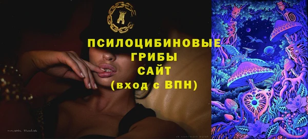 MDMA Premium VHQ Новозыбков