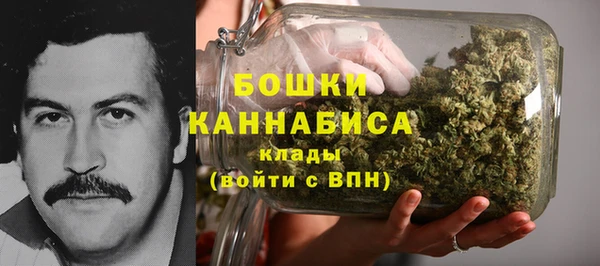 шишки Нязепетровск