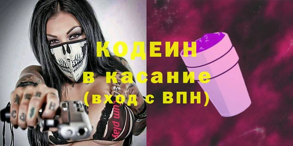 шишки Нязепетровск