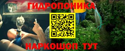 мдпв Кингисепп