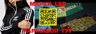 мдпв Кингисепп