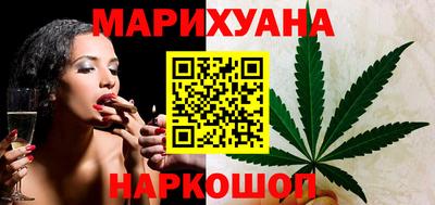 мдпв Кингисепп