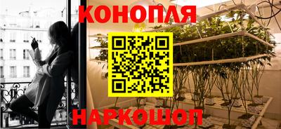 мдпв Кингисепп
