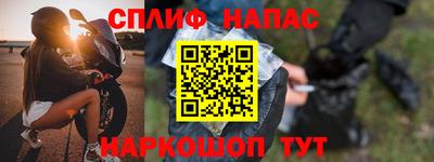 мдпв Кингисепп