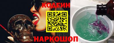 мдпв Кингисепп