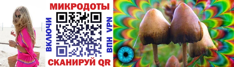 Галлюциногенные грибы GOLDEN TEACHER продажа наркотиков ссылка на мегу рабочий сайт Мыски