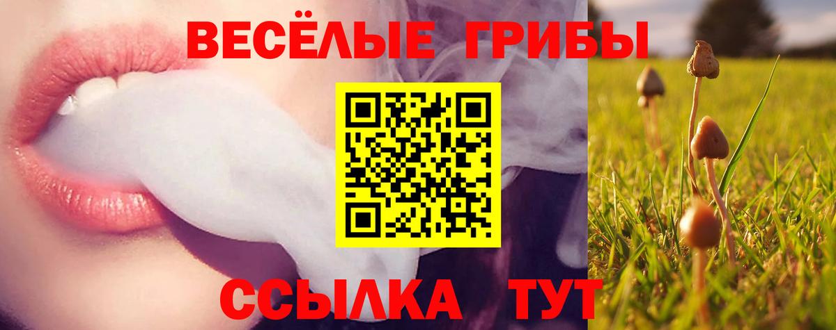 Галлюциногенные грибы мицелий Мыски